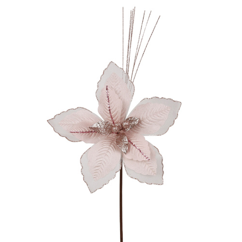 Blush Pink Poinsettia w/ Organza Stem