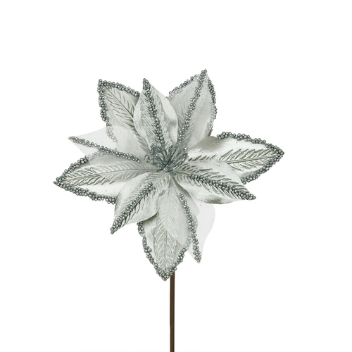 Gunmetal Poinsettia