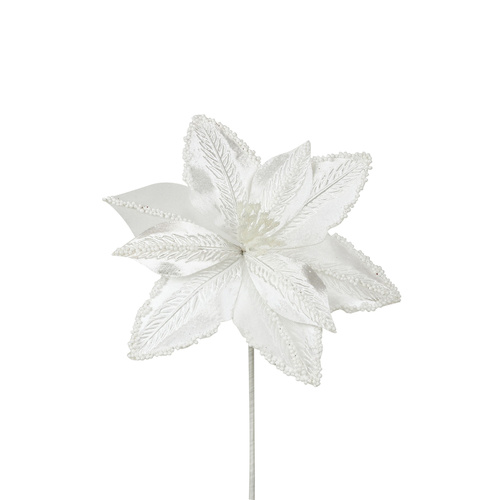 White Pinsettia