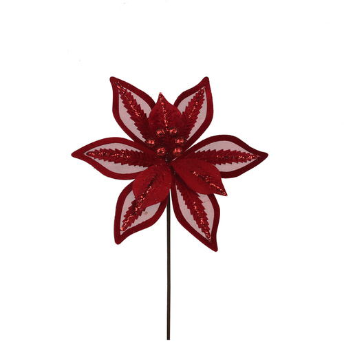 Red Poinsettia