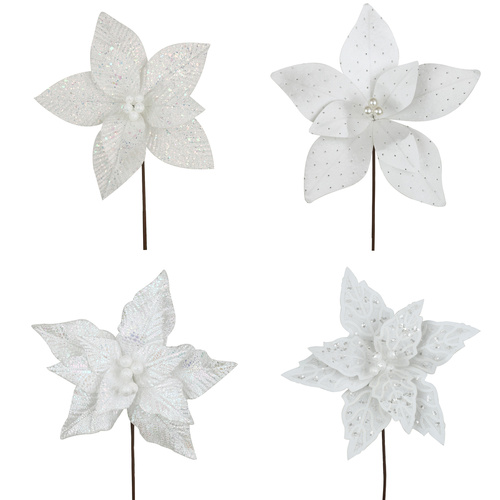 White Poinsettia Assorted