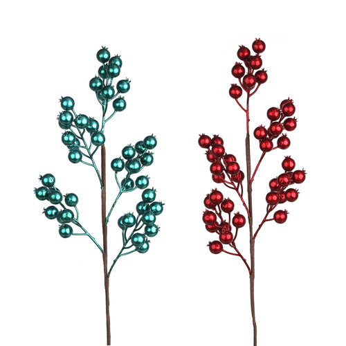 Berry Stems