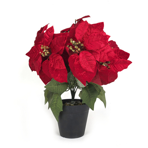Poinsettia Flower Pot