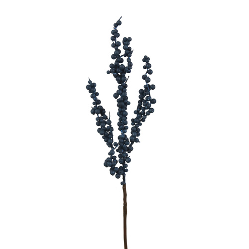 Blueberry Stem