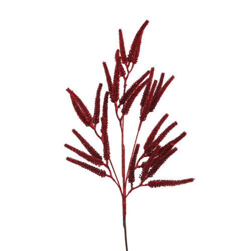 Red Glitter Amaranthus
