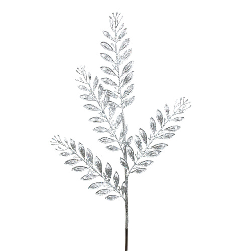 Silver Fern Stem