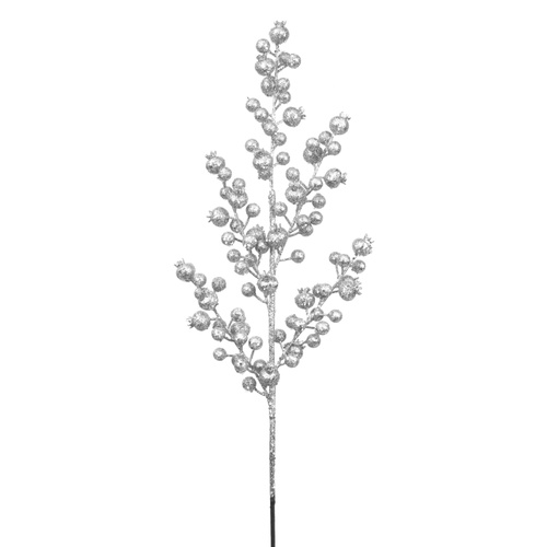 Silver Berry Stem