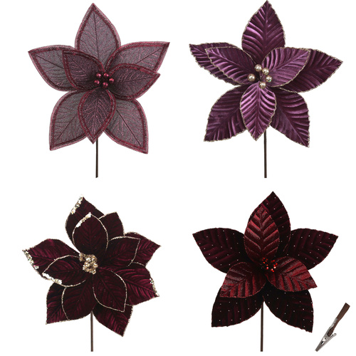 Spicy Plum Pudding Poinsettias 