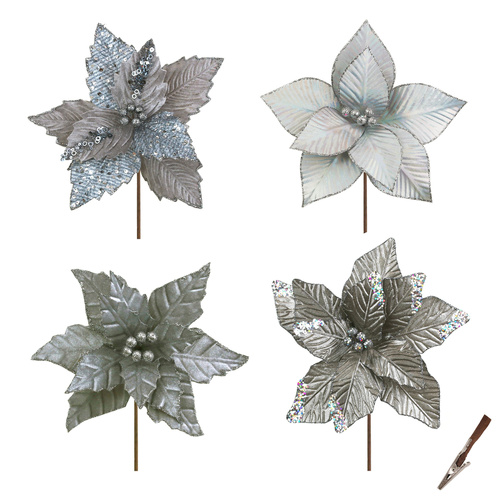 Sparkle Season Poinsettias 