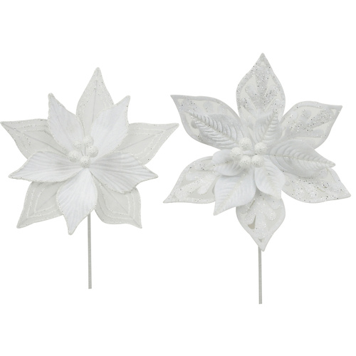 White Poinsettia