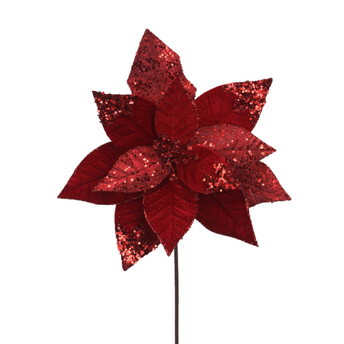 Red Velvet Poinsettia