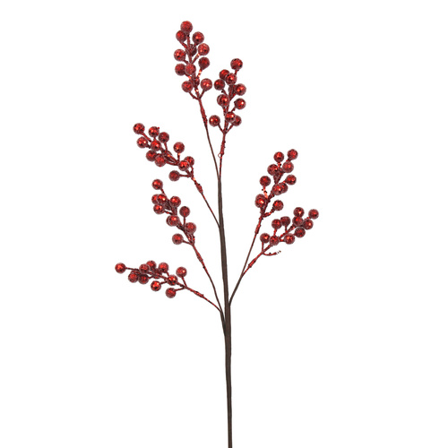 Red Berry Stem Sugar Coating