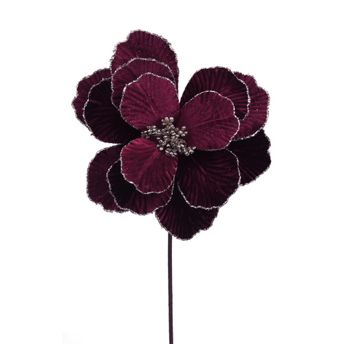 Plum Velvet Magnolia