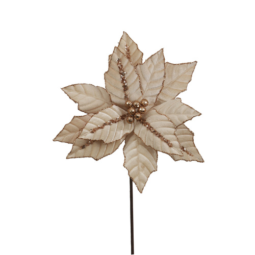 Champagne Velvet Poinsettia W/Rose Gold Glitter Details