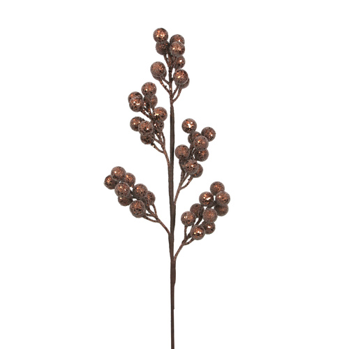Brown Sugar Coated Berry Stem