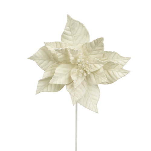 Ivory Velvet Poinsettia 