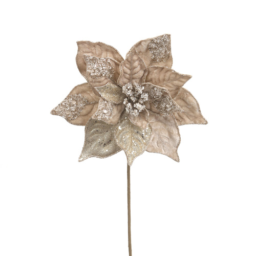 Champagne Velvet Poinsettia W/Beads & Glitter