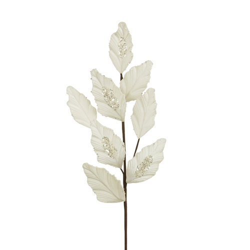 Ivory Leaf Stem