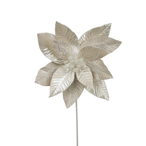 Ivory Pearl Poinsettia