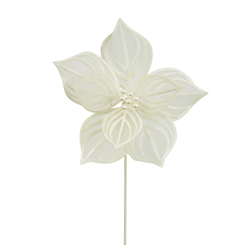 Ivory Lace Poinsettia 