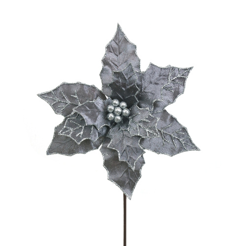 Midnight Grey Velvet Poinsettia 