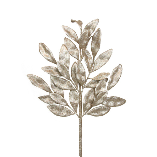 Champange Bay Leaf Stem