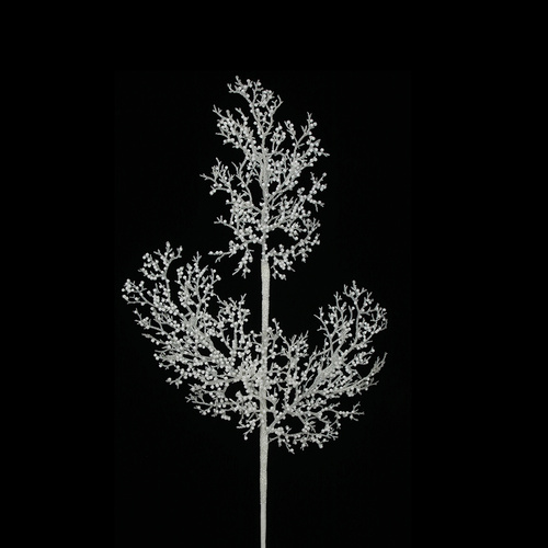 White Beaded Coral Stem