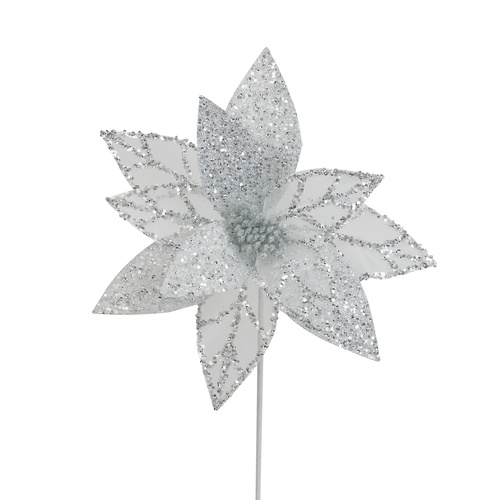 White Silver Poinsettia