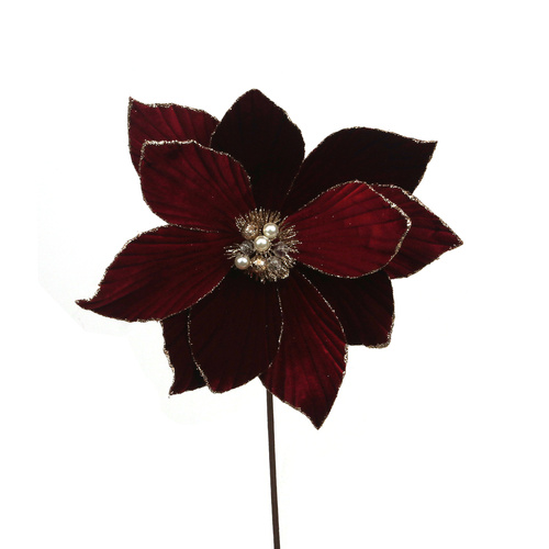 Burgundy Poinsettia W/Glitter 