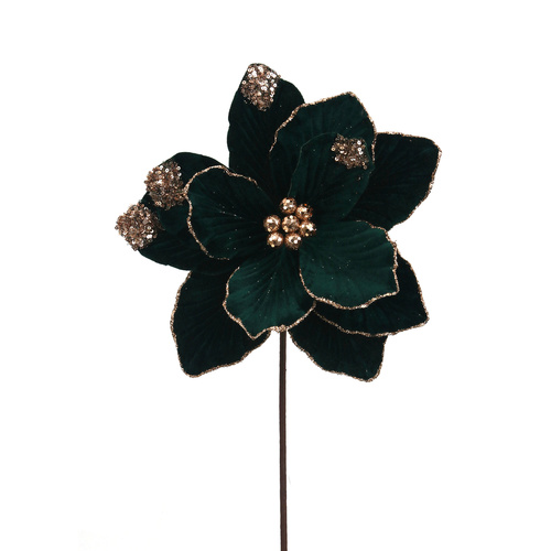 Emerald Green Poinsettia