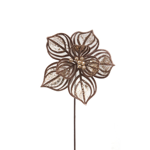 Mocha Lace Poinsettia 