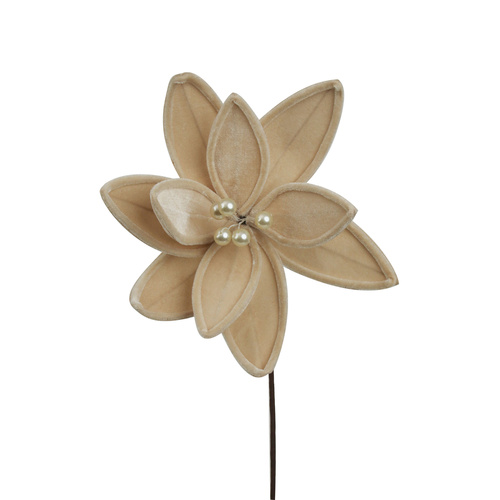 Champagne Velour Poinsettia W/Stem