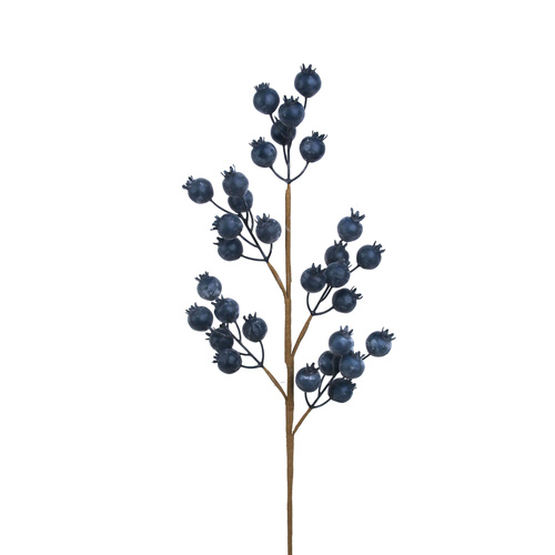 Blue Berry Stem
