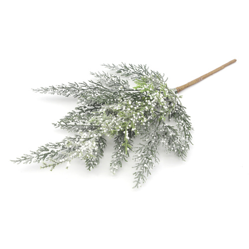 Green Cedar Spray
