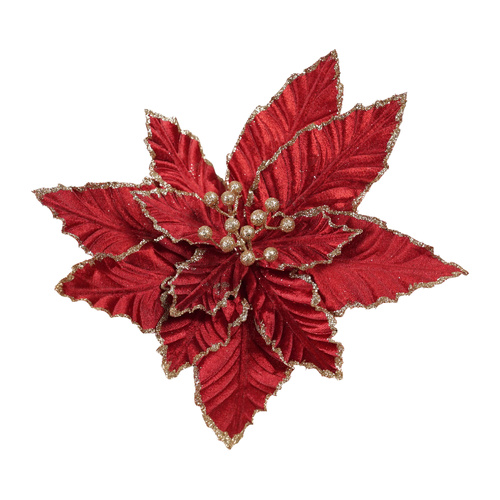 Burgundy Poinsettia w/ Gold Edge