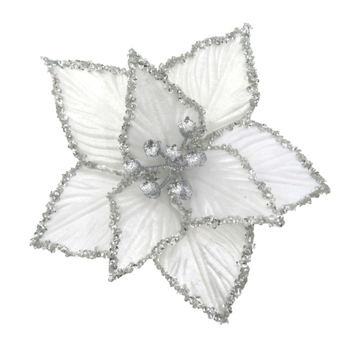 White Poinsettia w/ Silver Crust Edge