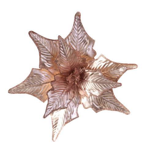 Shiny Pink Poinsettia 