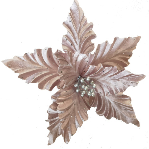 Musk Poinsettia w/ Clip