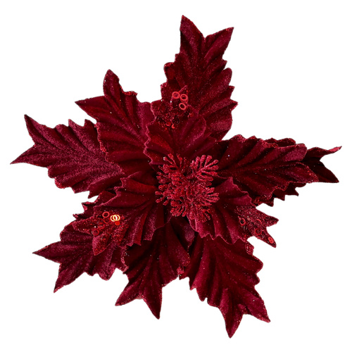 Burgundy Poinsettia w/ Jagged Edge