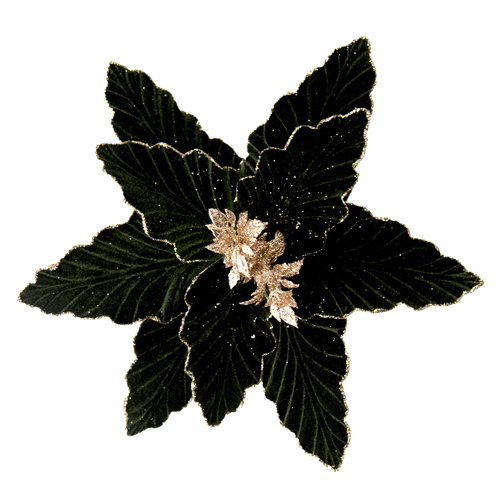 Green Poinsettia w/ Gold Glittered Edge 