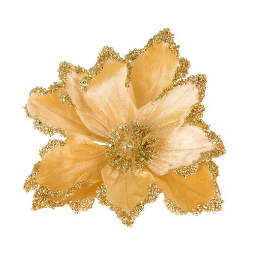 Amber Golden Edge Magnolia w/ Clip