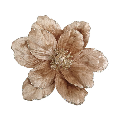 Fawn Magnolia w/ Clip