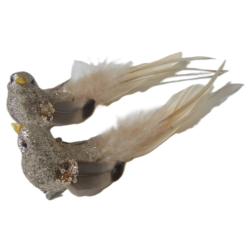 Champagne Coral Clip on Birds