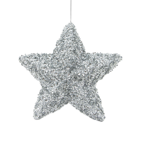 Beaded Sequin 5 Point Star Silver