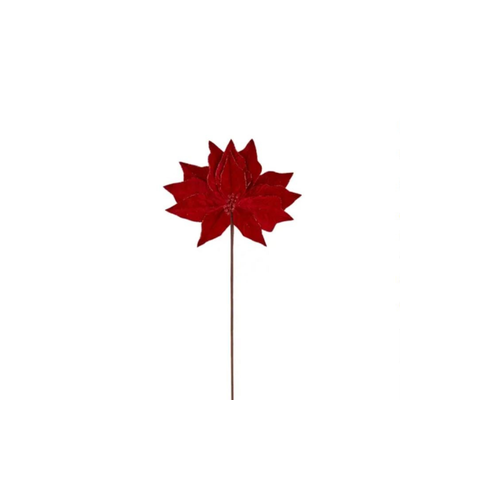 Velvet Stemmed Poinsettia