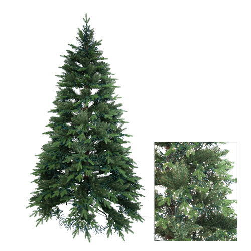 Jindabyne Luxe tree