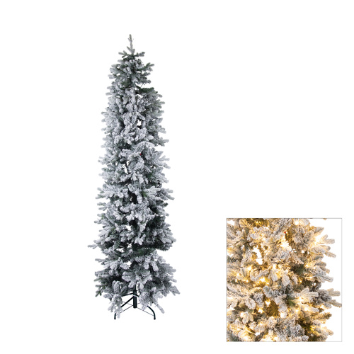 Perisher Pencile Pine 2.1m