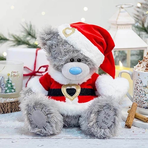 Me to You | Santa Plush