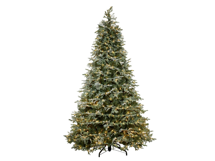 Noble Fir Christmas Tree (7.5ft)
