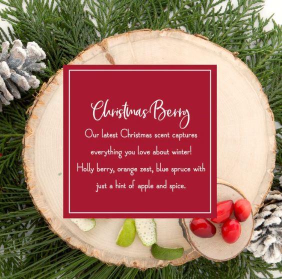 Scentsicles Christmas Berry - Festive Emporium